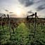 Worners Schloss Weingut & Wellness-Hotel