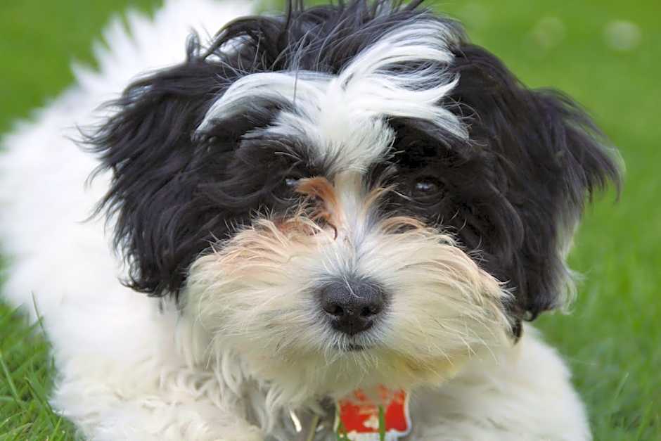 Travelodge by Wyndham Red Bluff South of Redding