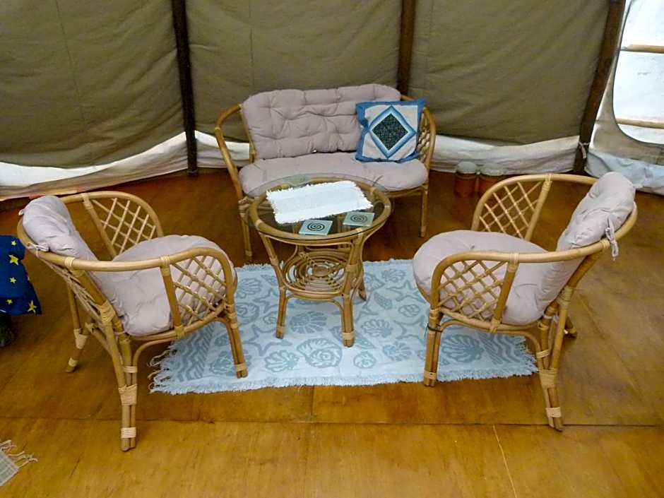 Wacky Stays - unique farm-stay glamping rentals, FREE animal feeding tours