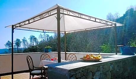 Studio with Terrace - Attic