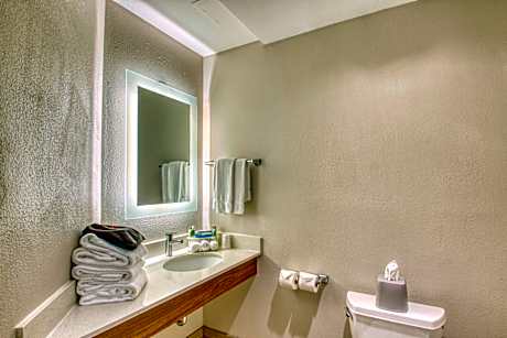 2 Qn Ste Comm Mobil Access Tub Sofa Bed