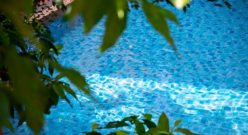 Opey De Place Pattaya