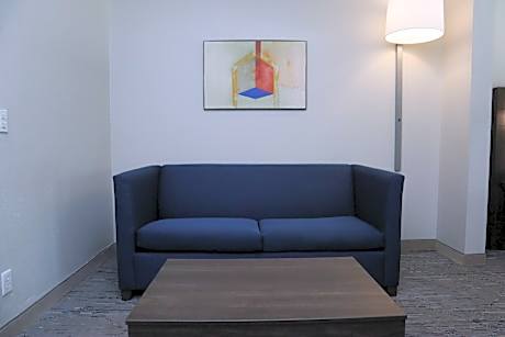 1 King Bed Suite Communications Accessible Sofa Bed