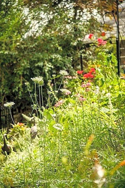 The Queen, A Victorian Bed & Breakfast