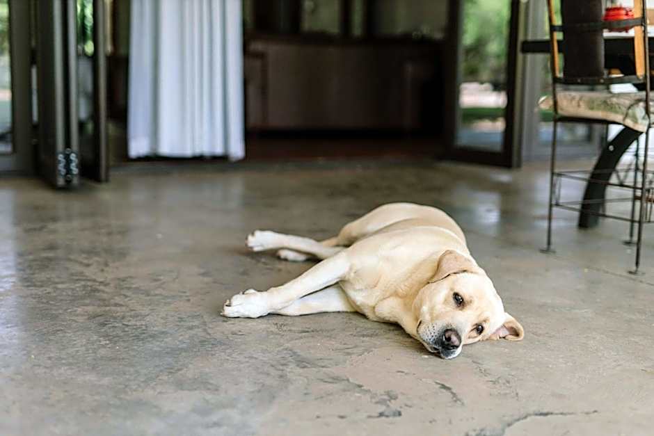 Upington African Vineyard Boutique Hotel & SPA