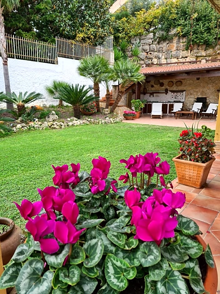 Villa Olga B&B