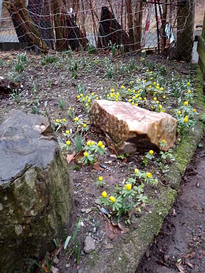 Zum stillen Himmelbett in Lichtenwalde