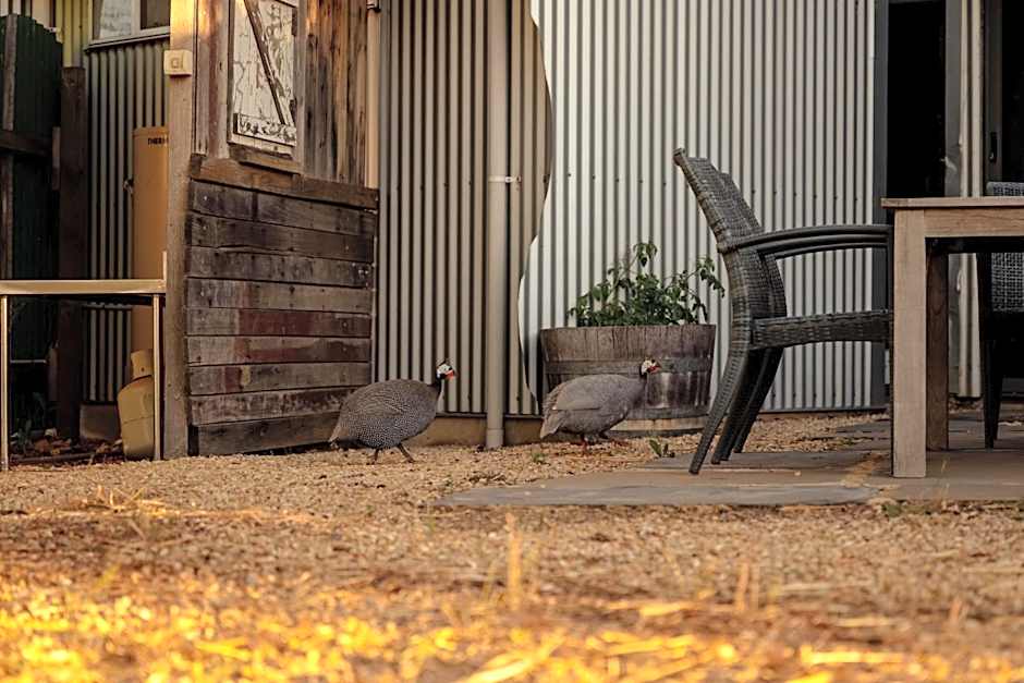 Bed in a Shed Vineyard Stay