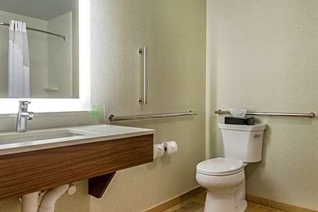 1 King Standard Mobility Accessible Tub