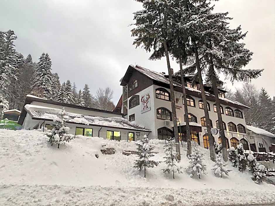 Cerbul Chalét Accommodation & Wellness