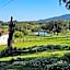 Herdade do Burrazeiro Turismo Rural no Alentejo