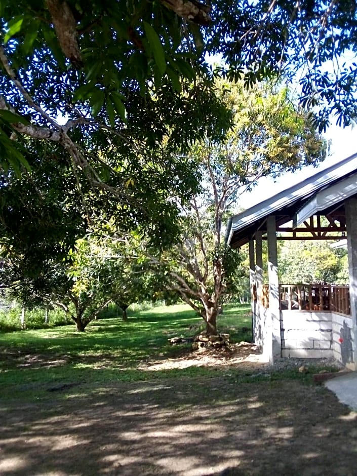 Balai Mariacaria Pension House