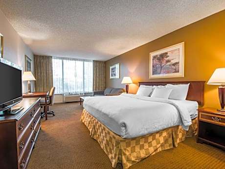 King Room - Non-Smoking