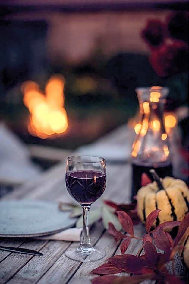 Tokajer Wellness Panzió