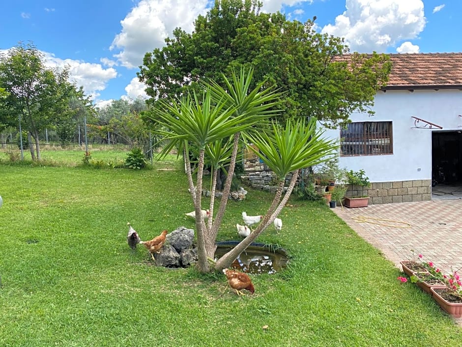 A Casa di nonna Emilia