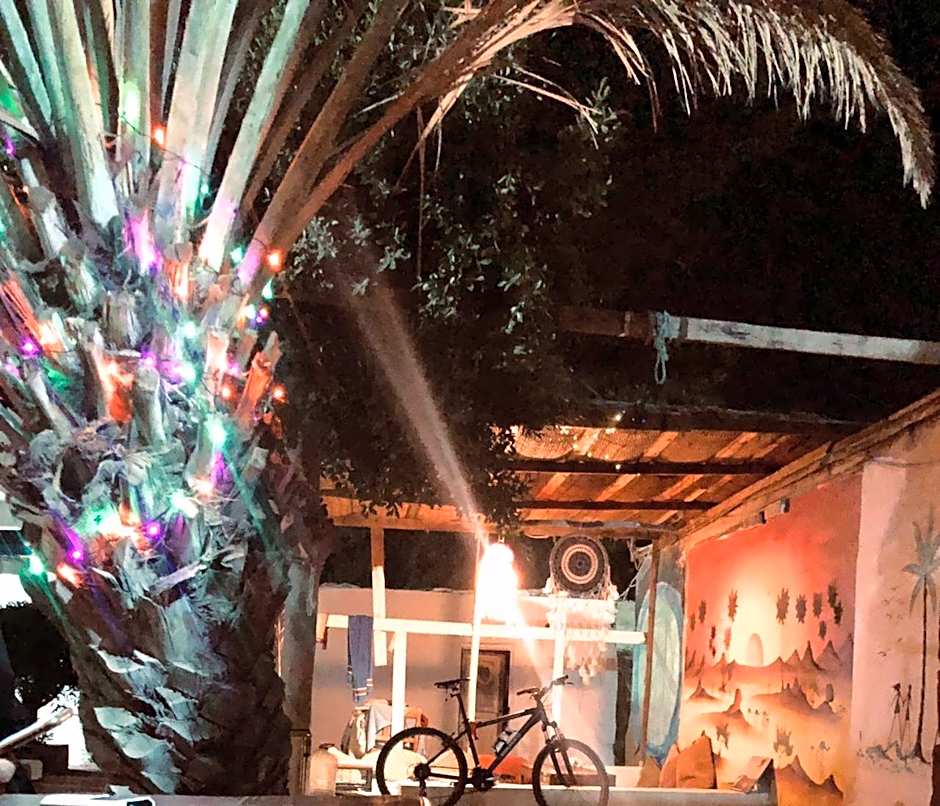 Oasis Fighting Kangaroo