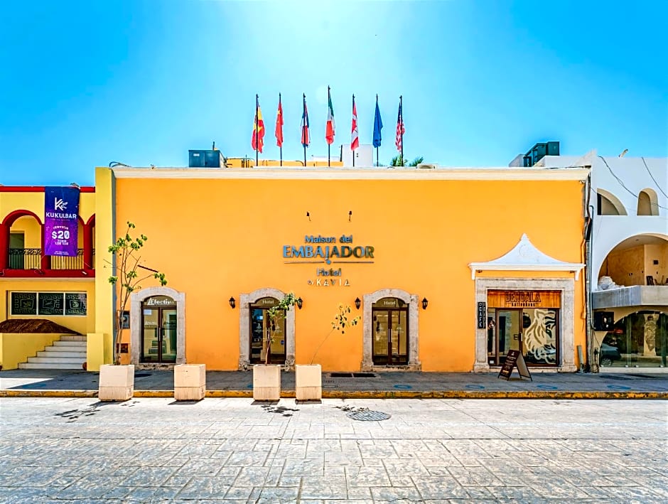 Maison del Embajador