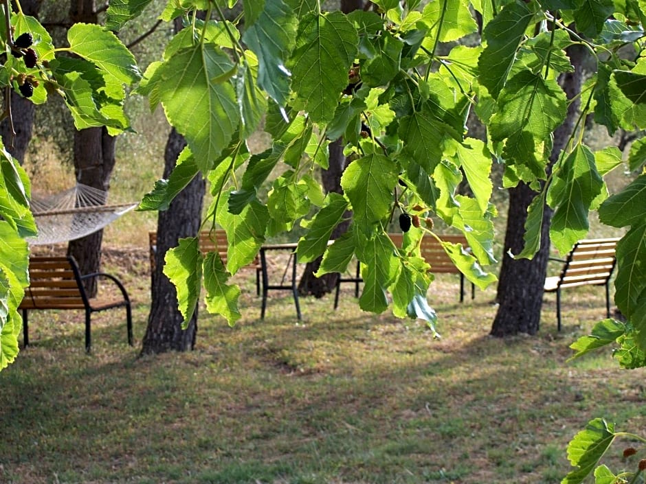 Le Poiane B&B Vacanze