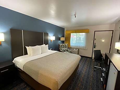 Standard Room, 1 King Room, Non Smoking