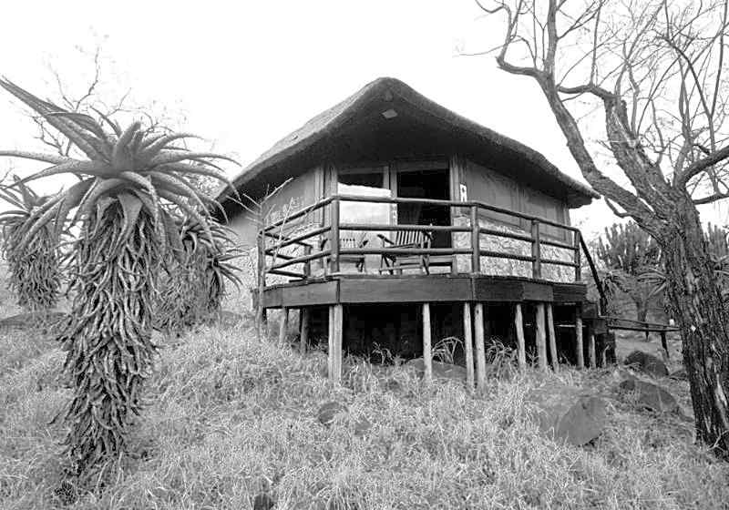 Shayamoya Tiger Fishing And Game Lodge