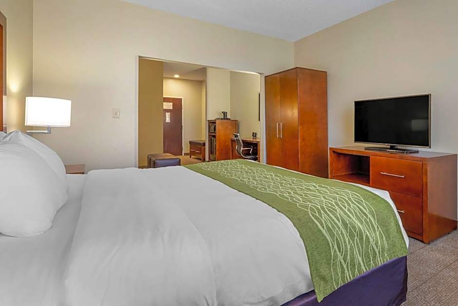 Comfort Inn & Suites Lenoir Hwy 321 Northern Foothills