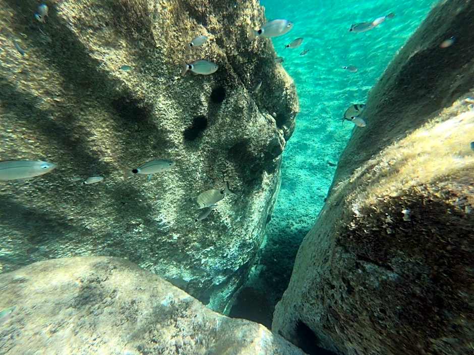 La Casa di Adele Cagliari B&B