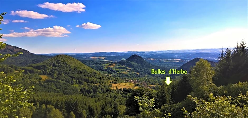 Bulle de Bois, écolodge insolite avec spa privatif au milieu des volcans - Bulles d'Herbe