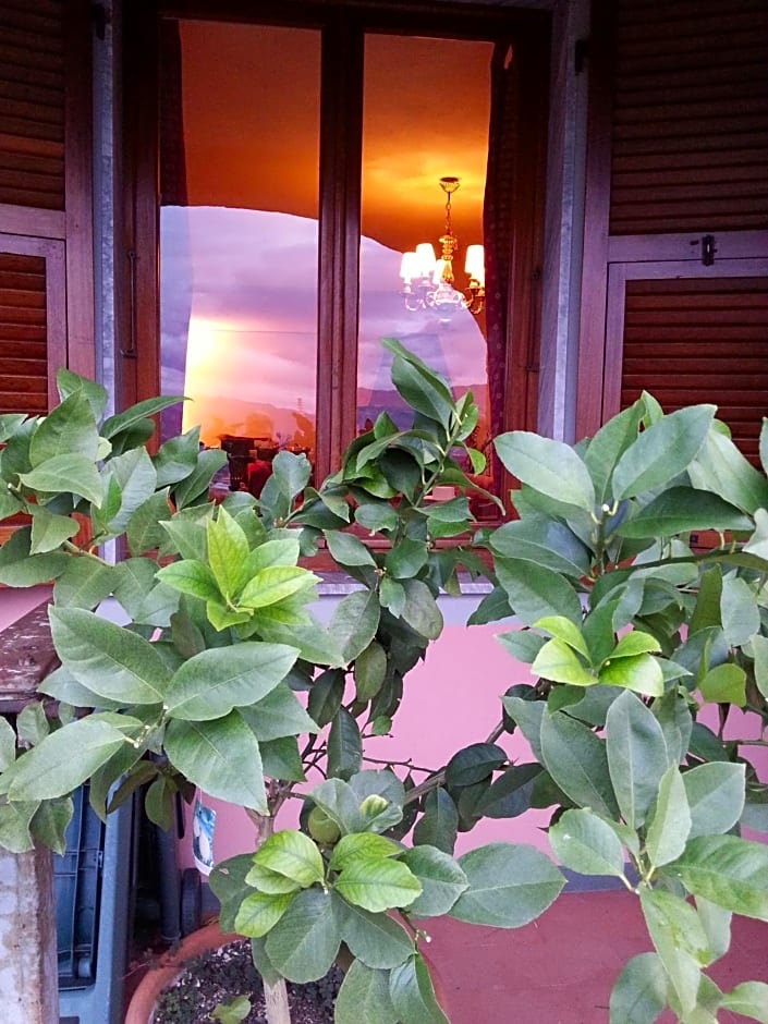 Gli Aceri B&B