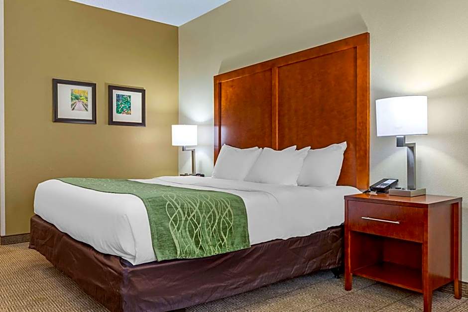 Comfort Inn & Suites Lenoir Hwy 321 Northern Foothills