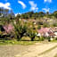 Colônia SAA