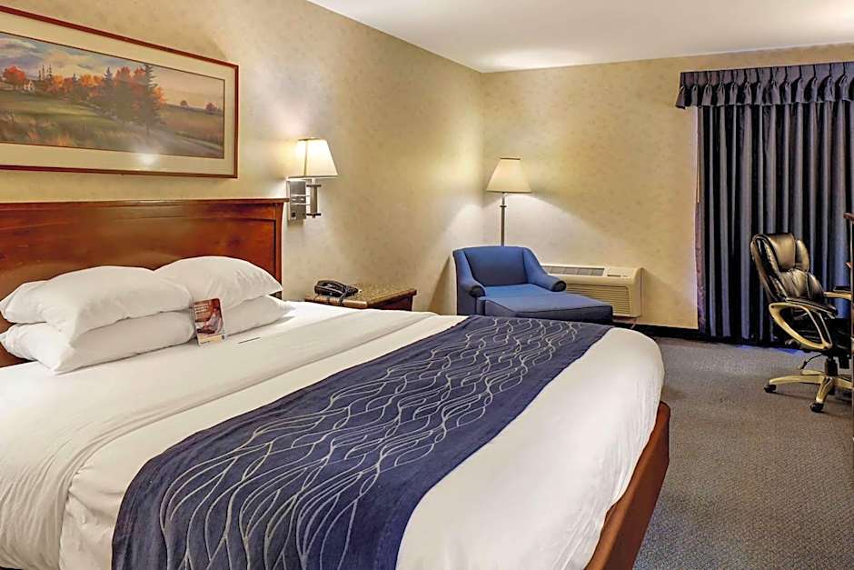 Comfort Inn Bellingham
