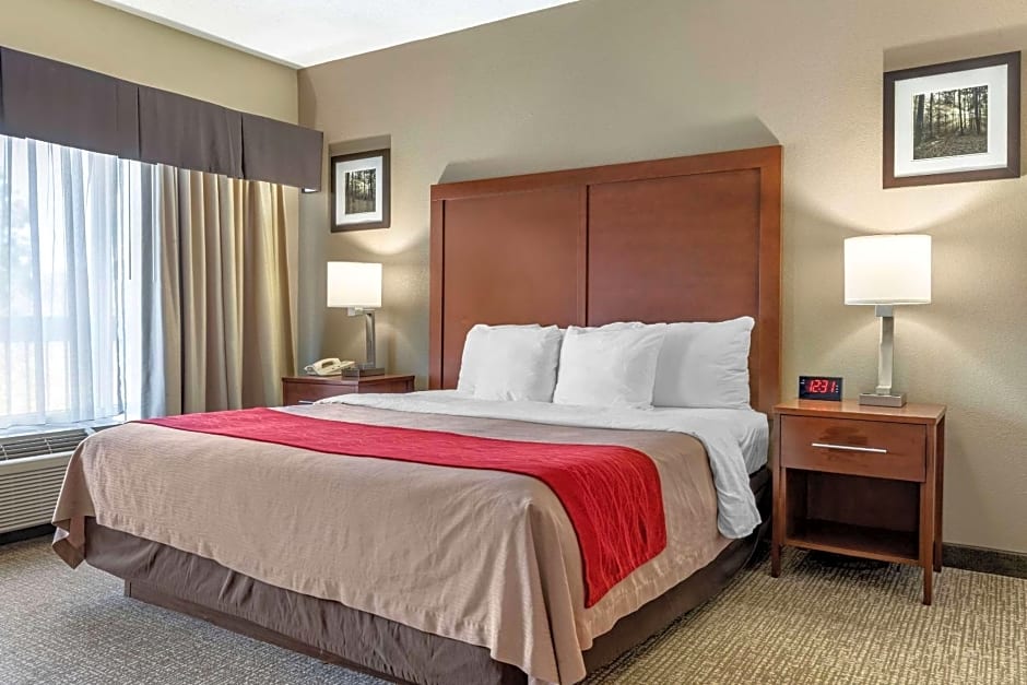 Comfort Inn Blythewood - North Columbia