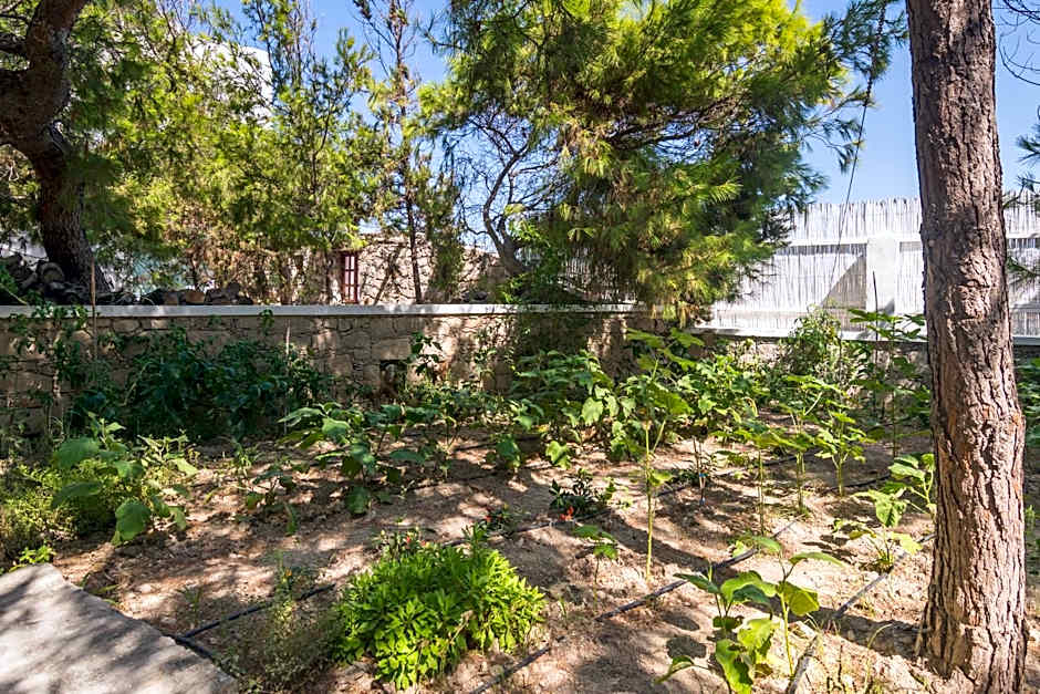 Thalassitra Village Hotel