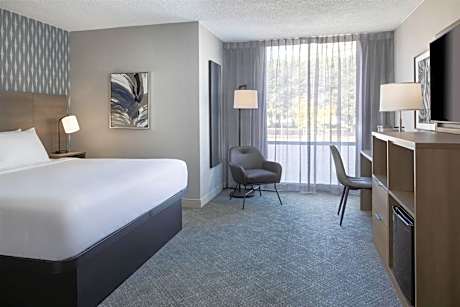 King Room - Disability Access