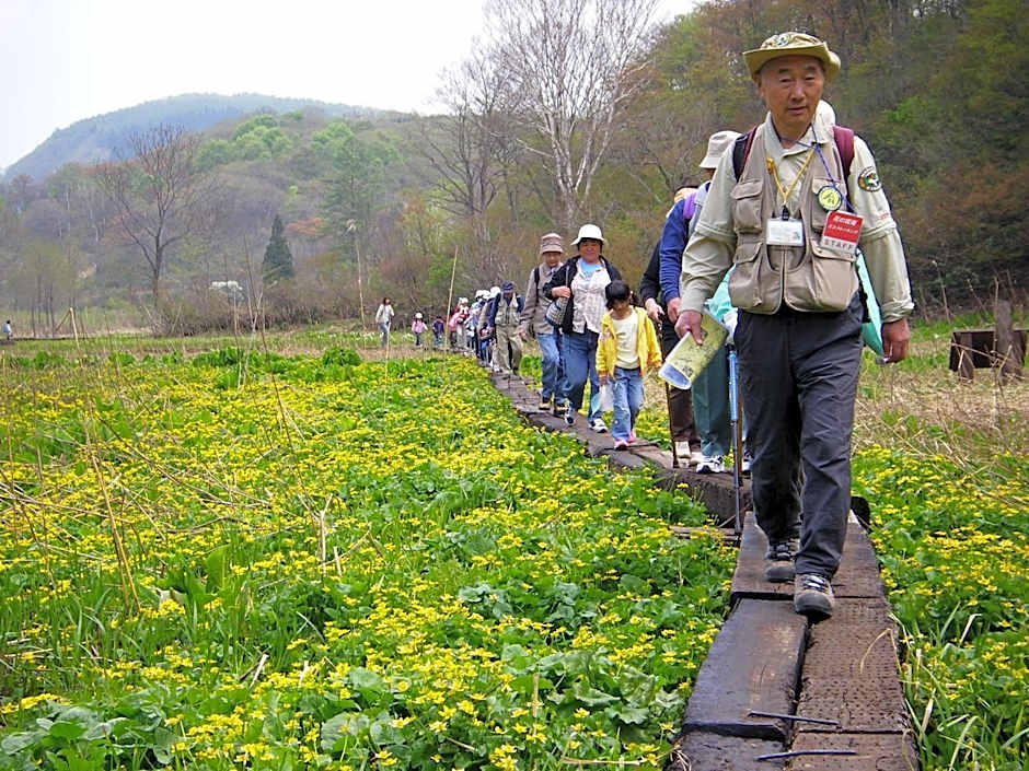 Madarao Elm Pension