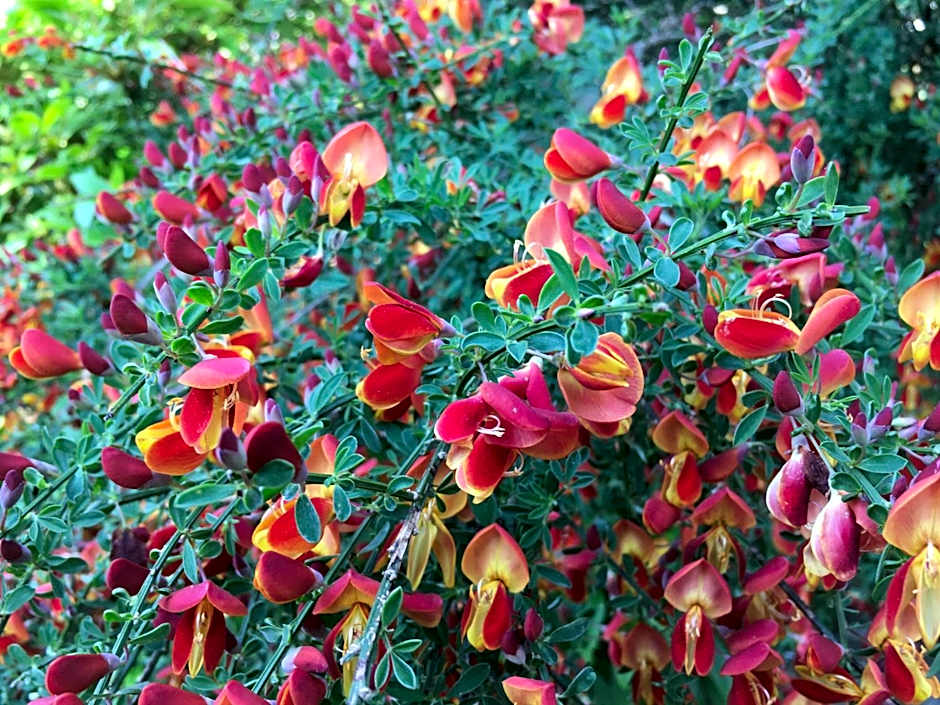 Hotel Garni Rivabella au Lac