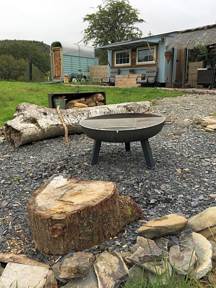 Belan Bluebell Woods Shepherds Hut