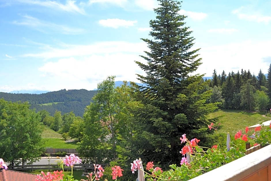 Gasthof zum Grünen Baum