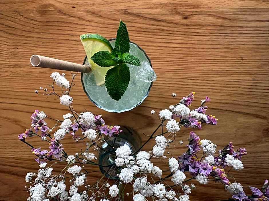 ibis Lyon Sud Oullins