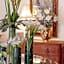Villa Ganz Boutique Hotel