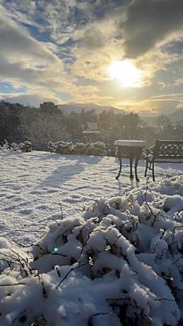 Braeburn Guesthouse