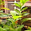 Colours Guesthouse