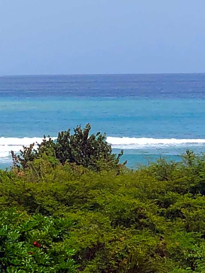 SCARLETT GUESTHOUSES HOTEL RESORTS