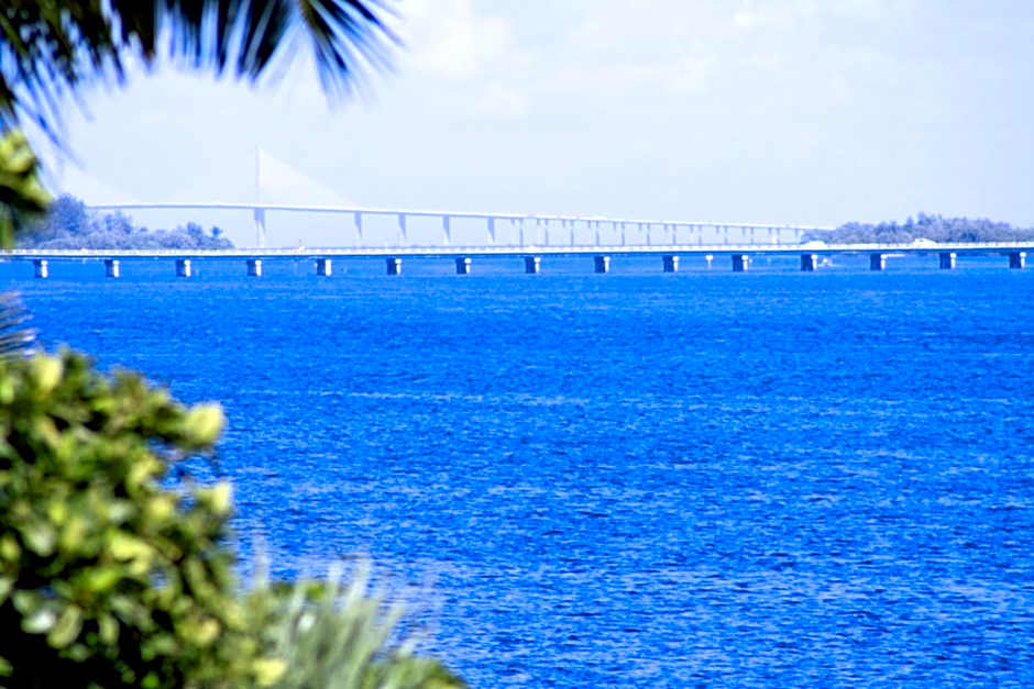 Anna Maria Island Beach Palms 6B