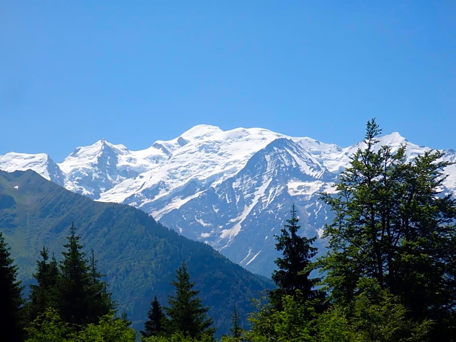 AU COEUR DES ALPES