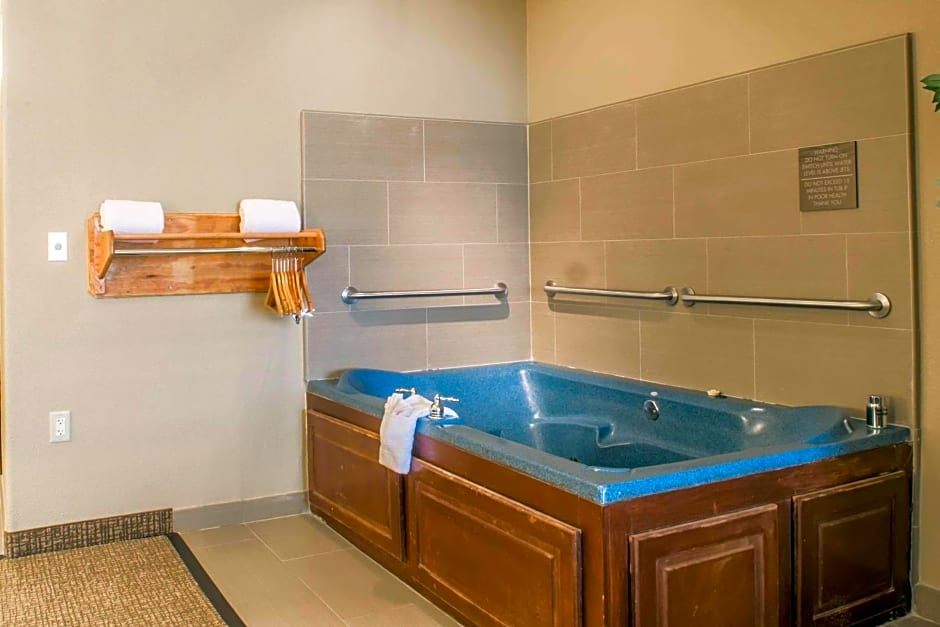 Comfort Inn Edinburg South