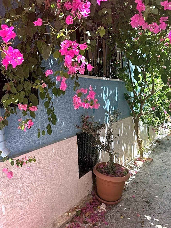 Casa Magnolia Boutique Rooms