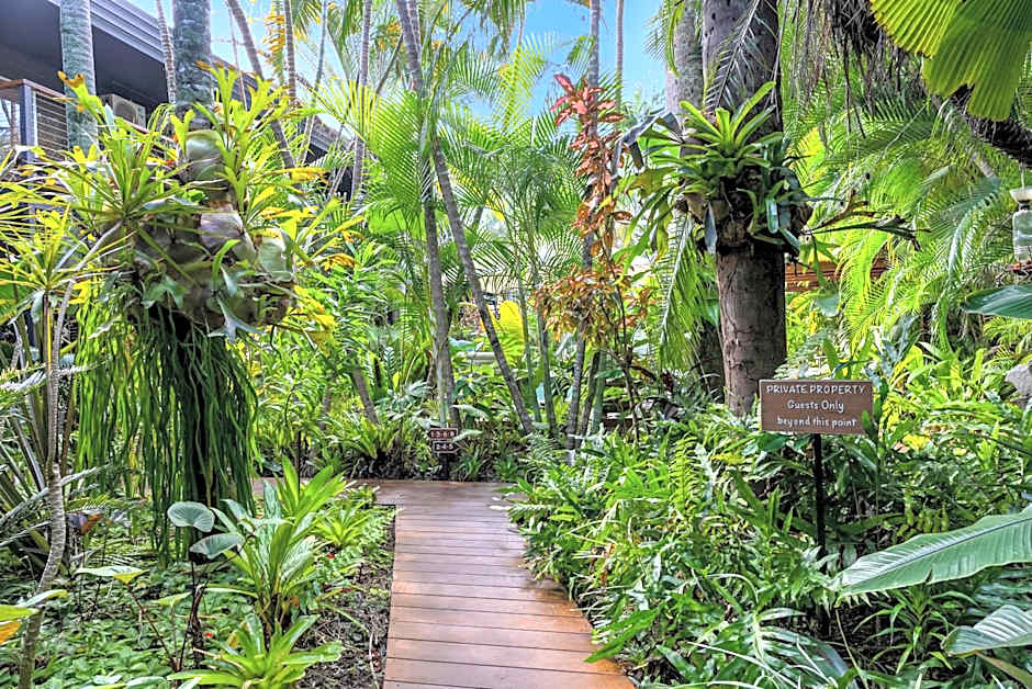 The Palms At Palm Cove