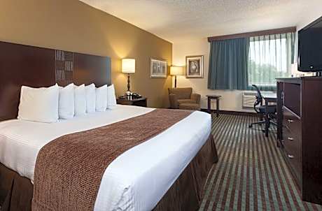 1 King Bed, Dog-Friendly Room, Non-Smoking