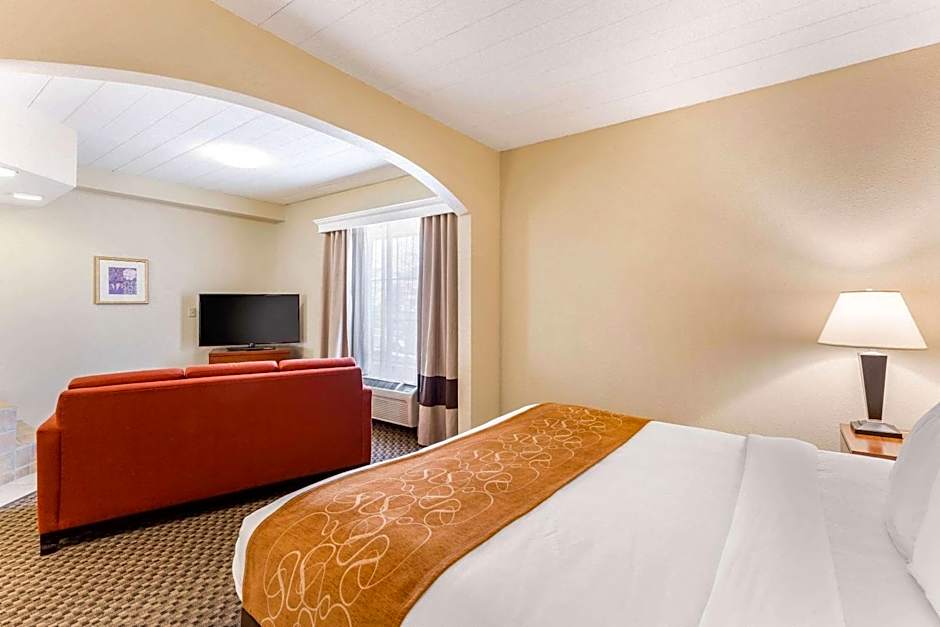 Comfort Suites Columbia Gateway